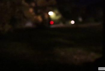 #HALLOWEEN2021| ИСТОРИЯ старое порно ШЕЙДЕН - ДЕВУШКА В БЕЛОМ | SHAIDEN ROGUE