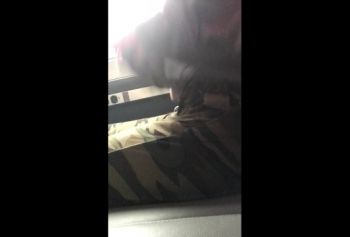 ВОЗБУЖДЕННАЯ МОЛОДАЯ ебля ЛЮБИТЕЛЬНИЦА ПОЛУЧИЛА ОРГАЗМ В ПОЕЗДЕ