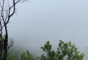 ГОРНАЯ ЕБЛЯ порево