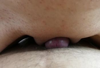 ТРЕТСЯ ПИЗДОЙ смотреть порно О ЧЛЕН